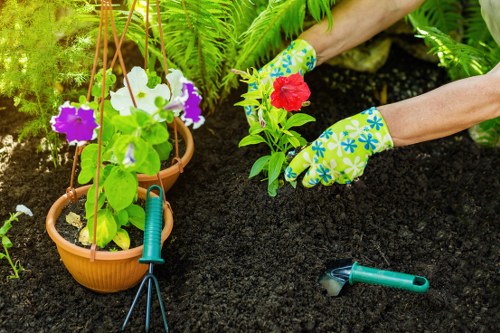 Local planting services for a Limegarden garden border