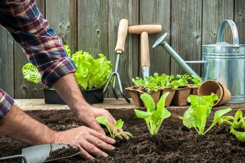 Landscaping team sorting green waste for eco-friendly disposal