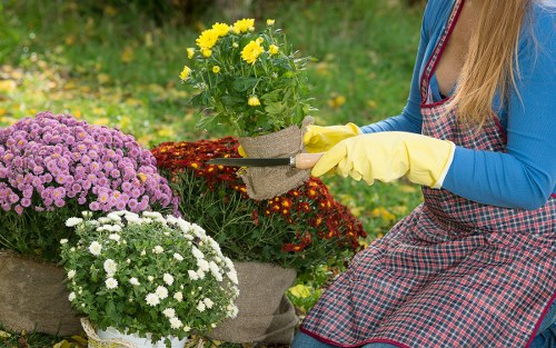 Supplier audit checklist for landscaping materials