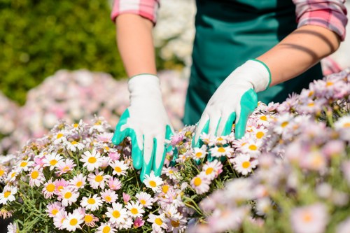 Transparent pricing for Limegarden garden and waste clearance jobs