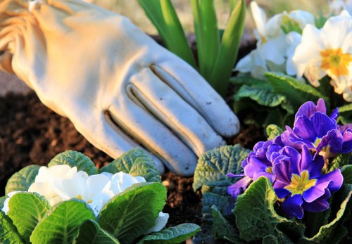 Seasonal garden clearance in Limegarden with leaf and branch collection