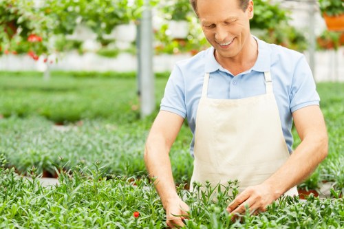 Free quote policy for landscaping and rubbish removal