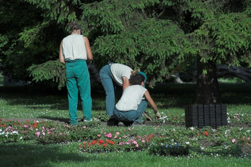 Stylish garden design concept for Limegarden flower beds