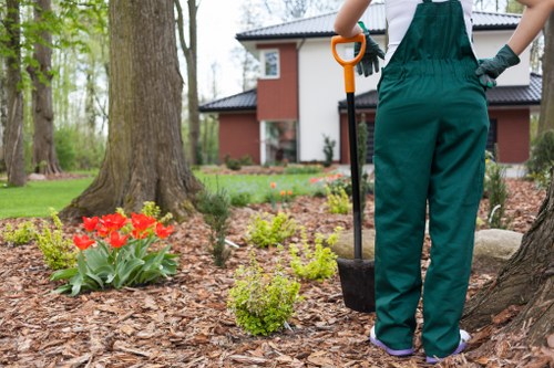 Preparing soil and planting shrubs in Limegarden