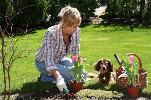 Landscaping service complaint being assessed