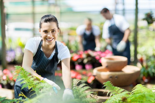 Planning a landscape gardening project in Limegarden with layered planting