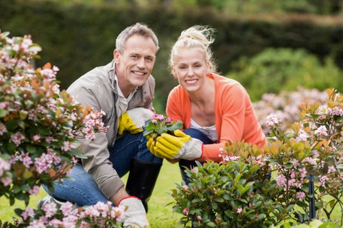 Soil preparation for a healthy flower bed in Limegarden